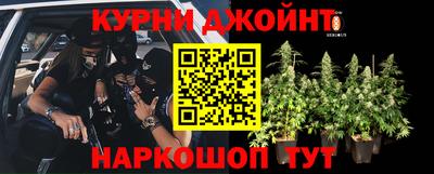 первитин Камышлов